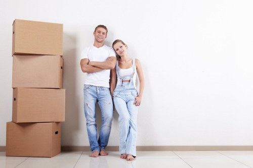 Illustration representing essential cookies on the Removals St Johns Wood website
